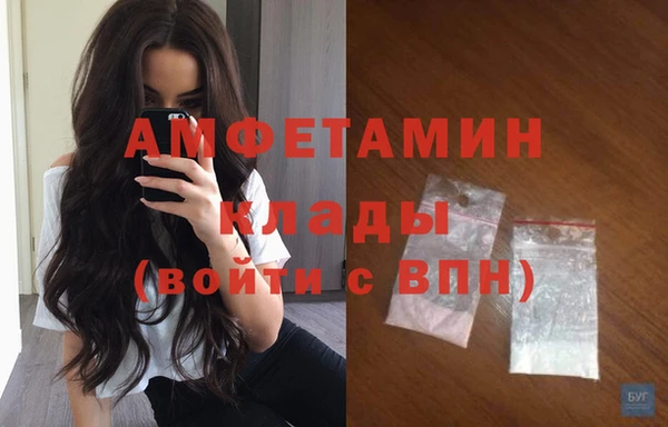 ПСИЛОЦИБИНОВЫЕ ГРИБЫ Иннополис