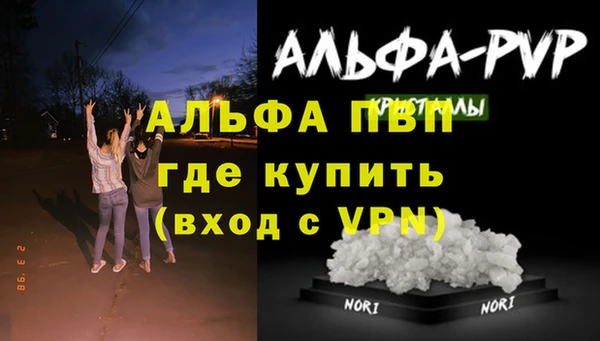 ПСИЛОЦИБИНОВЫЕ ГРИБЫ Иннополис