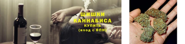 дмт Инсар