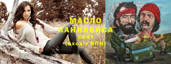 дмт Инсар