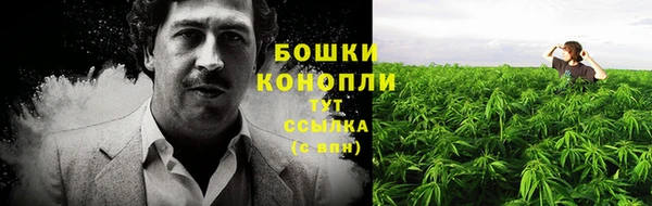 ПСИЛОЦИБИНОВЫЕ ГРИБЫ Иннополис